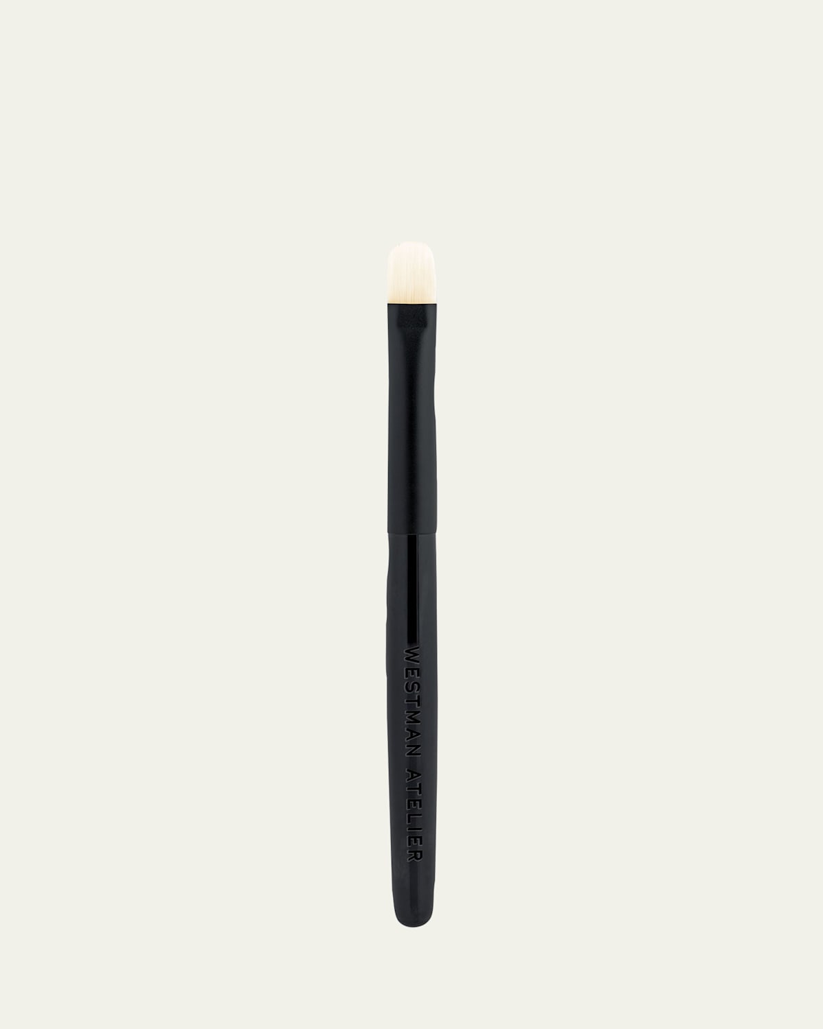 Lip Brush with Carton