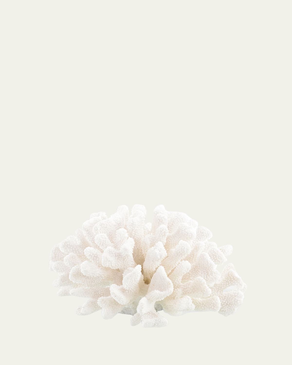 John-richard Collection Maldives Coral In White