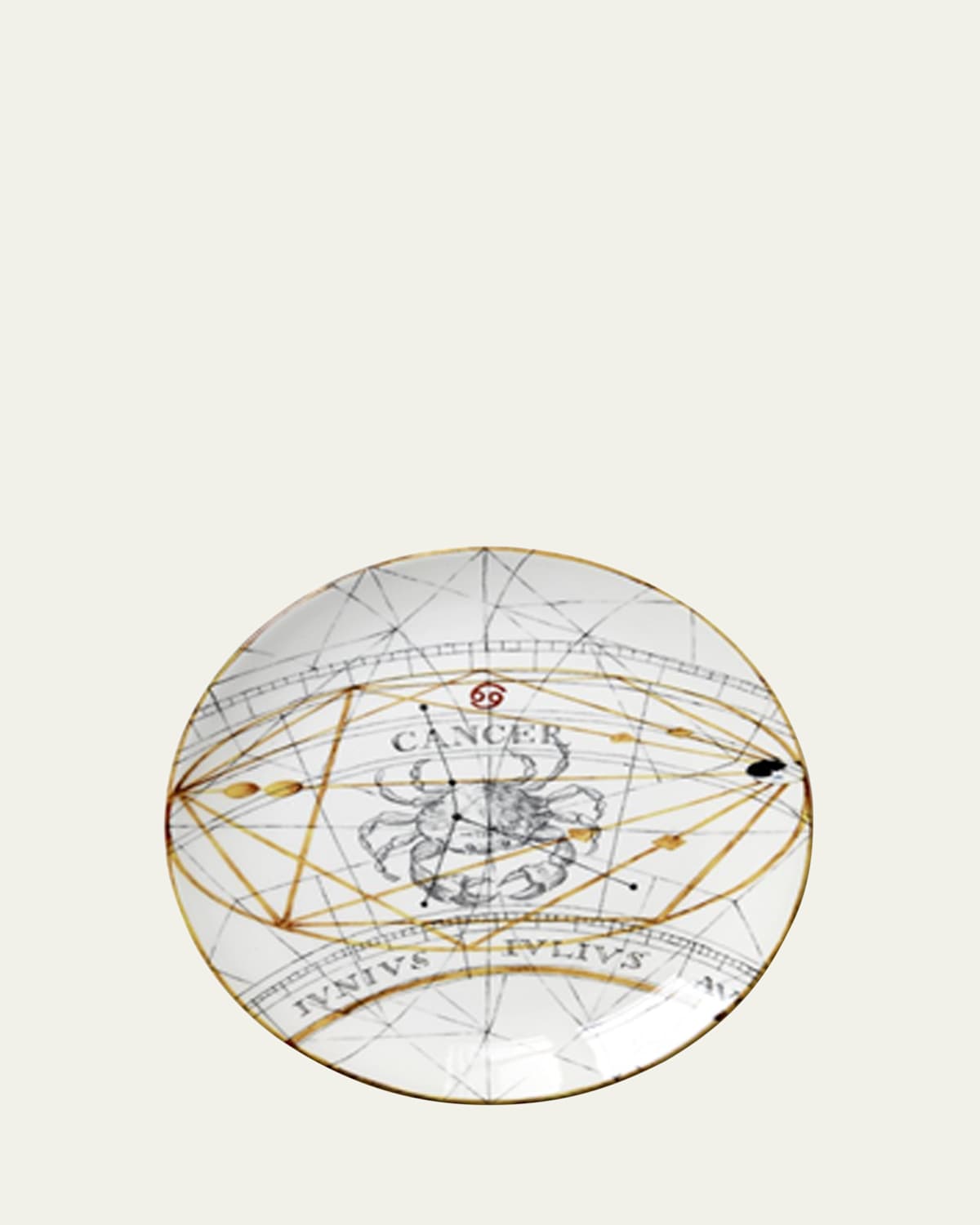 Laboratorio Paravicini Cancer Plate