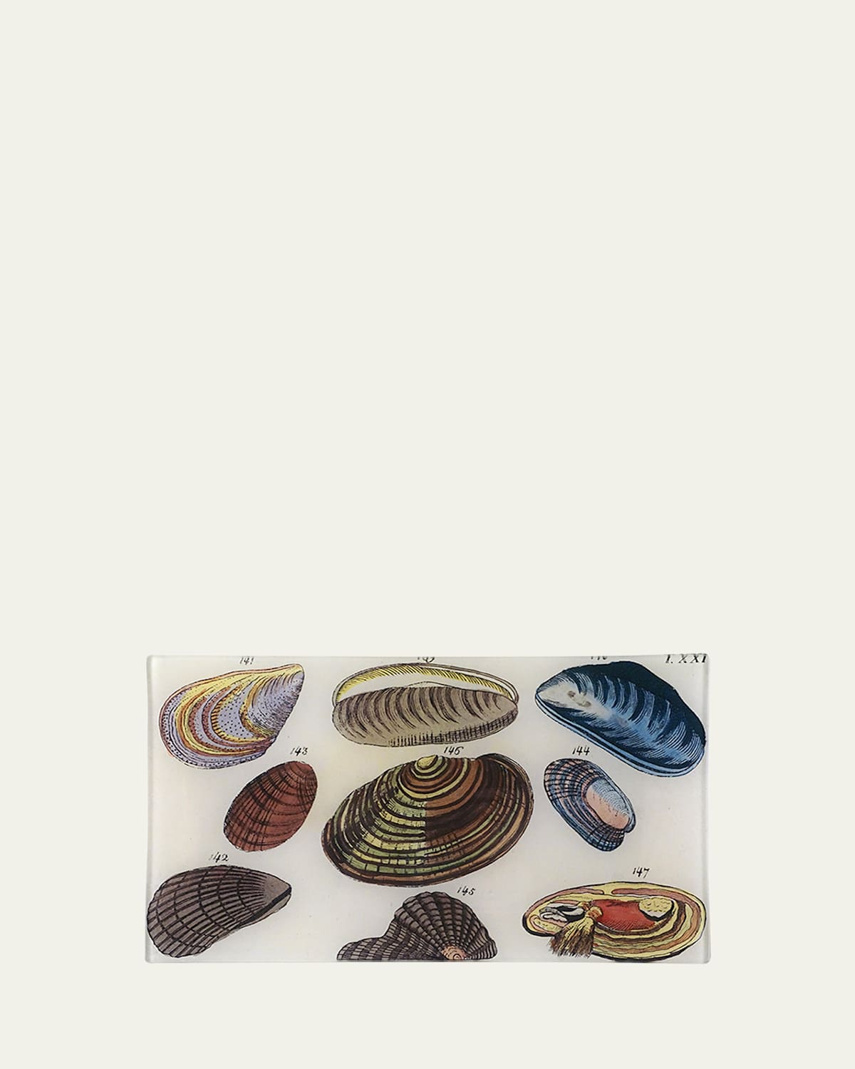 John Derian Clams Rectangular Tray In Multi