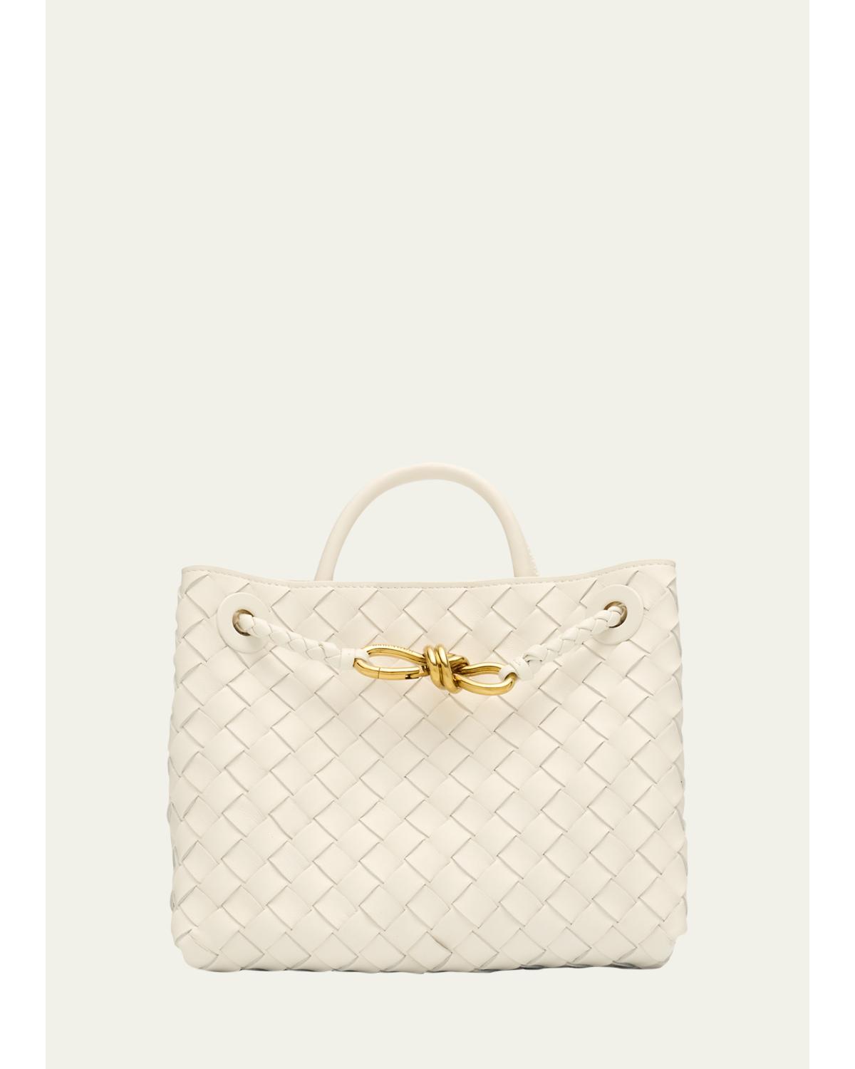 Bottega Veneta Andiamo Small Leather Top-handle Bag In Sea Salt