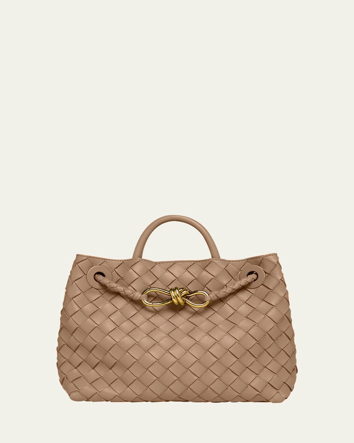 Bottega Veneta Small Andiamo Bag In Pinecone