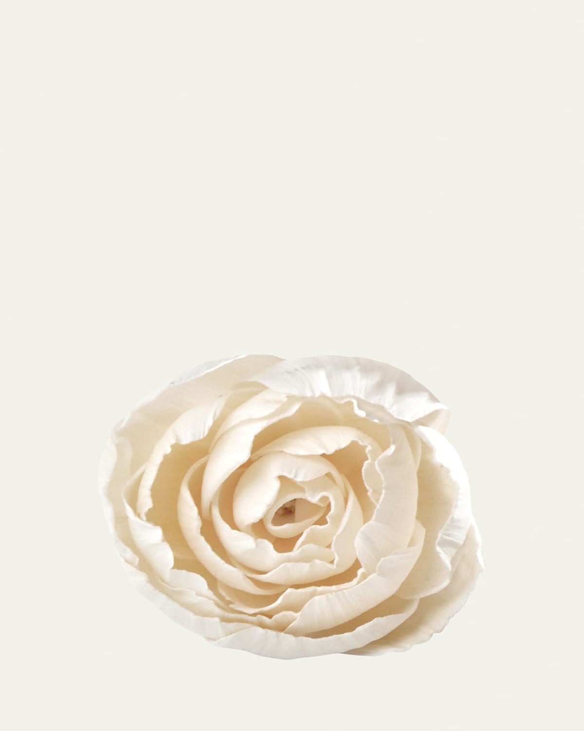 Agraria Peony Diffuser Flowers