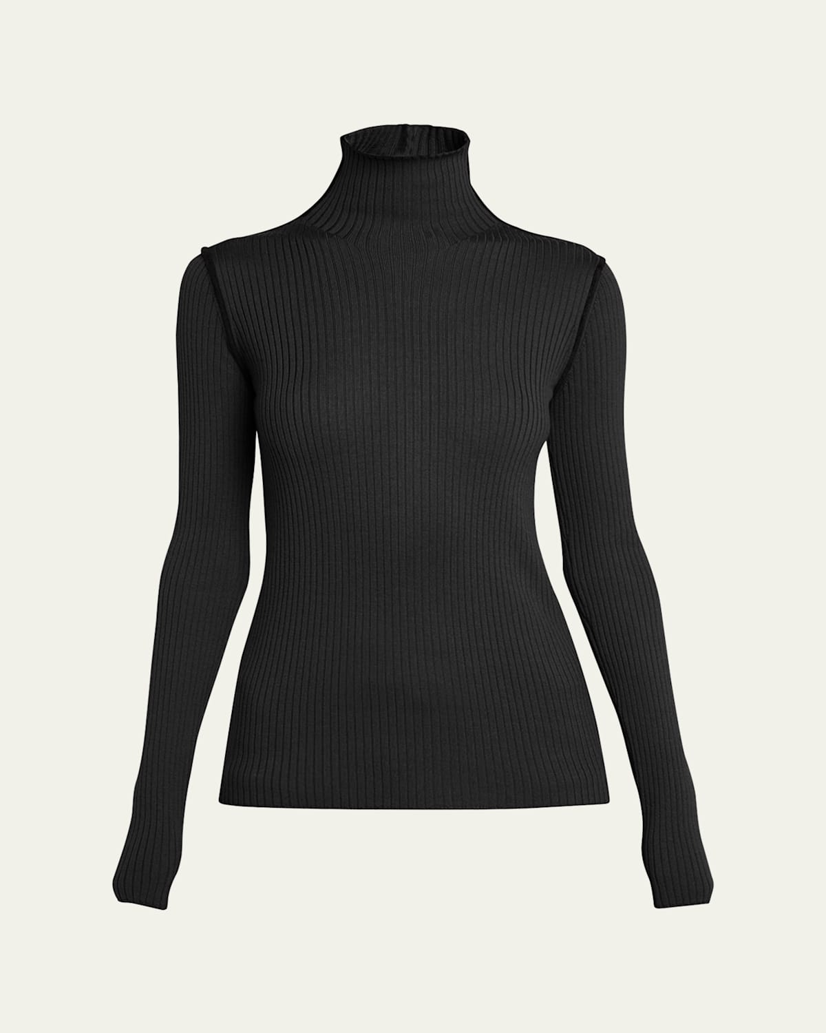 Extra Fine Wool Ribbed Turtleneck Sweater