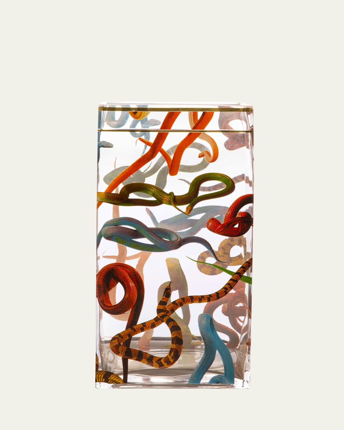 x Toiletpaper Snakes Large 12" Glass Vase