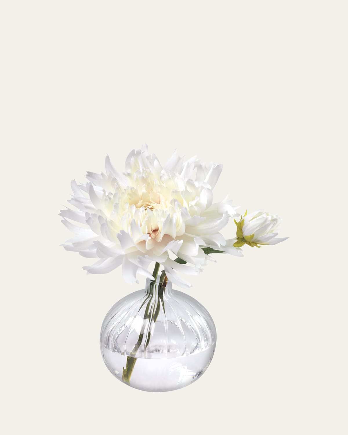 Cream Dahlia 10" Faux Floral Arrangement in a Ribbed Glass Bud Vase