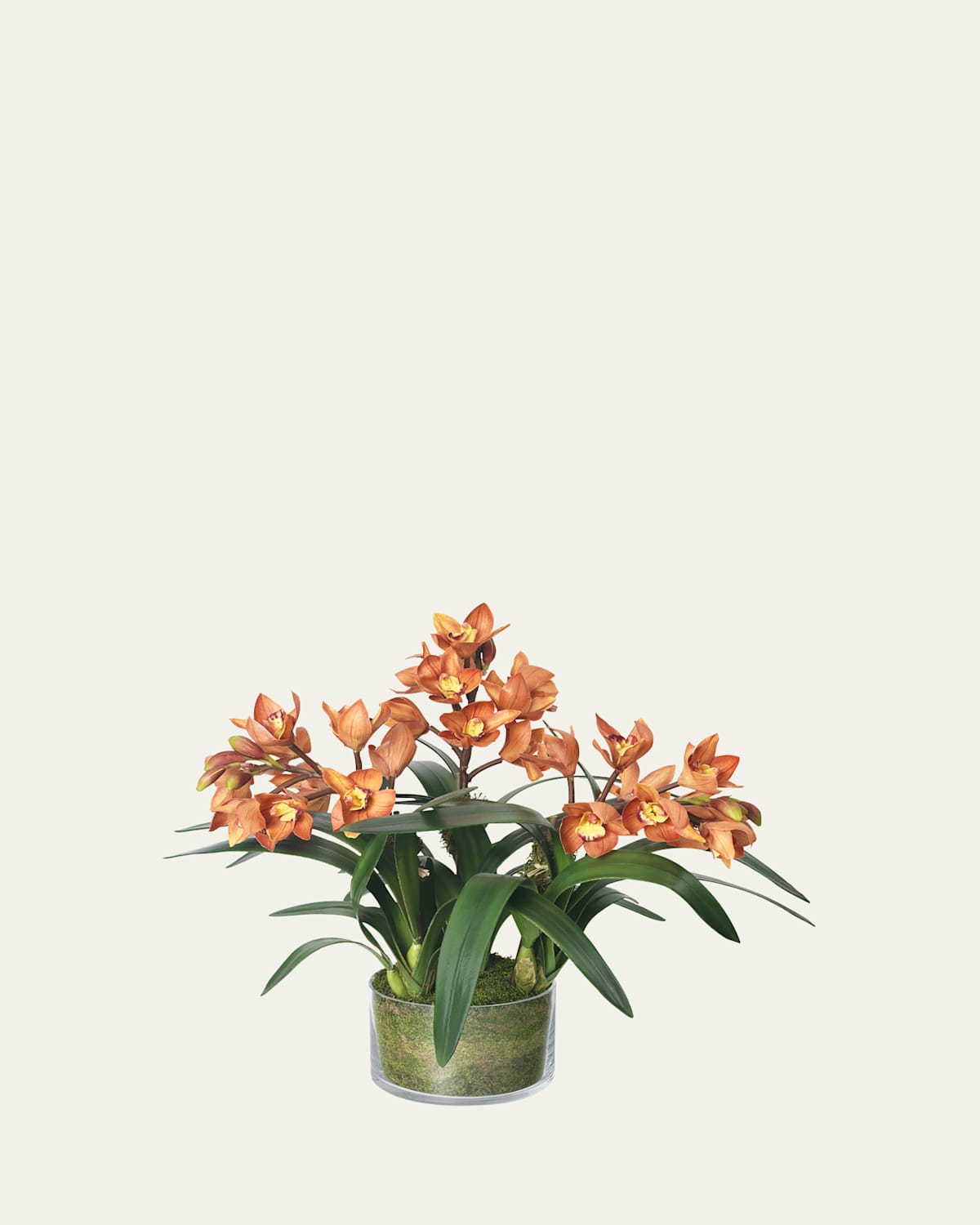 Rust Cymbidium Orchid Stems 22" Faux Floral Arrangement in Glass Cylinder with Moss