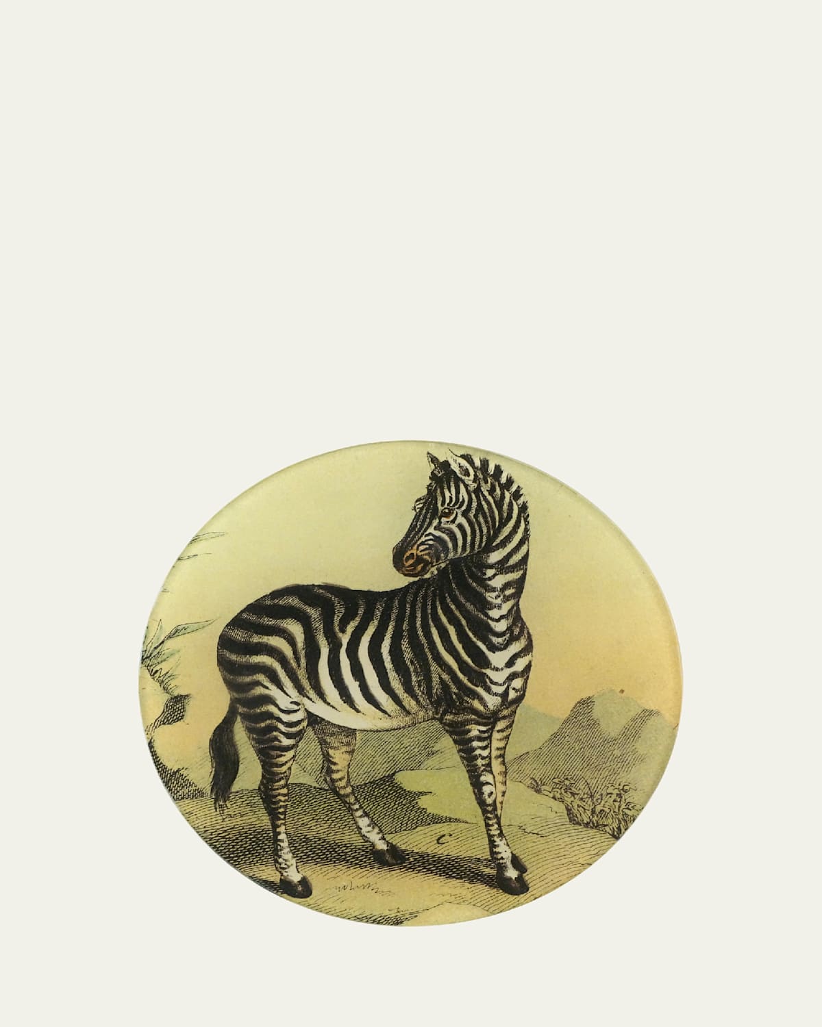 John Derian Zebra 118 Decorative Plate