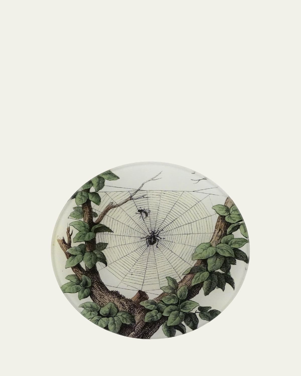 John Derian Leafy Web Decorative Plate