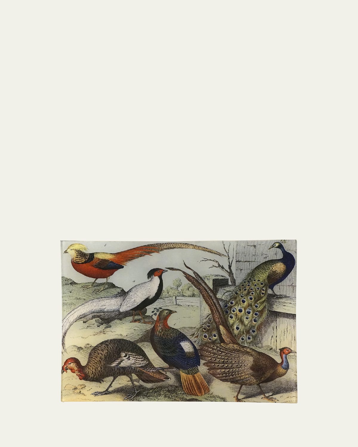 John Derian Birds XXIII Rectangular Tray