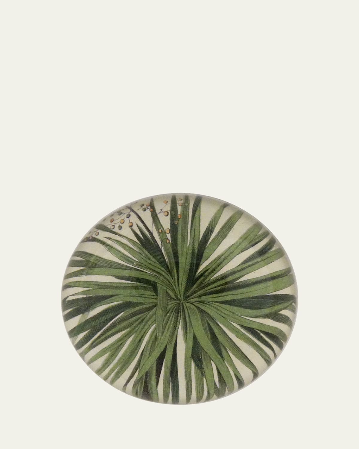 John Derian Palm Detail Dome Paperweight - Women's Home