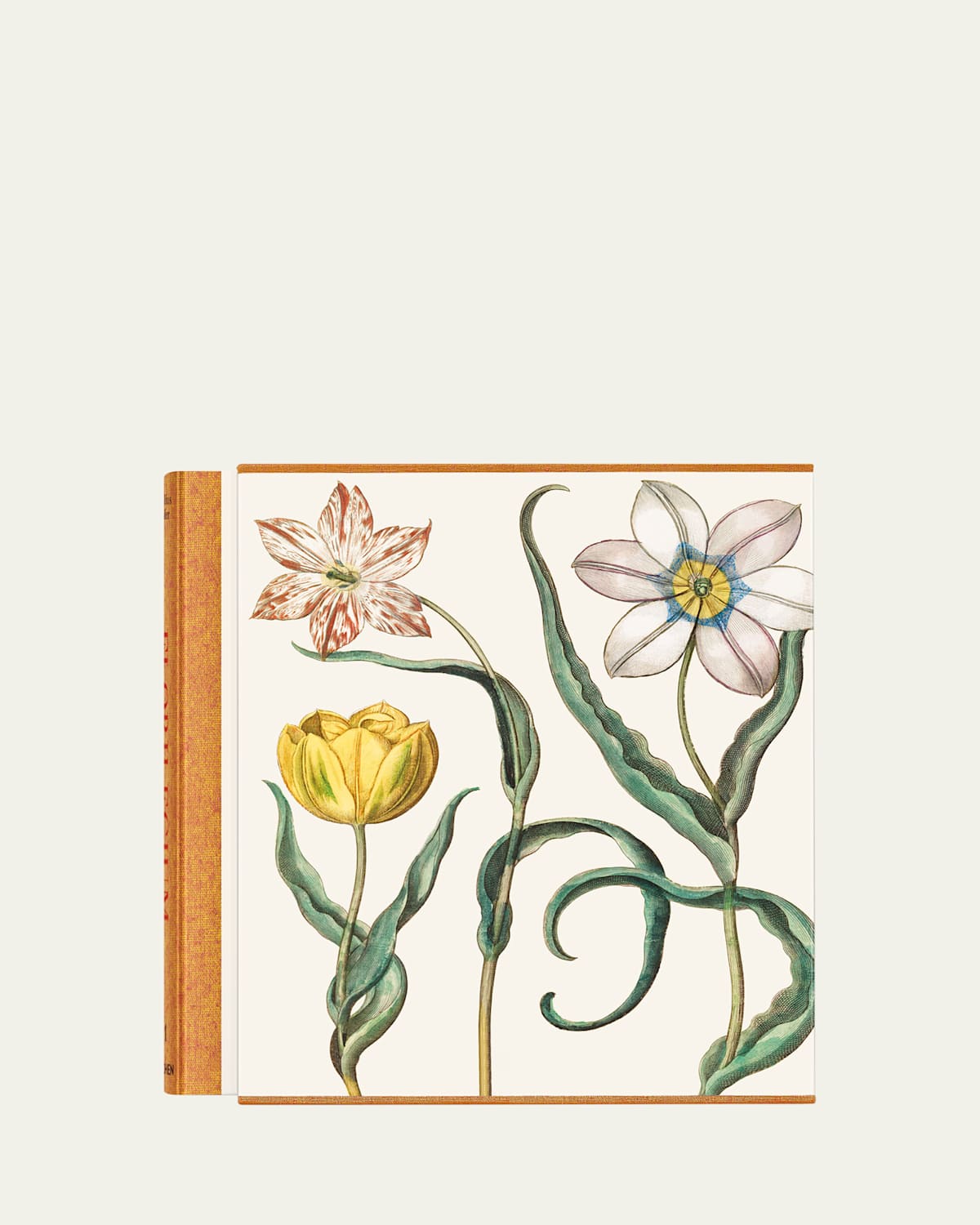 "Basilius Besler. The Garden at Eichstatt" 3-Volume Book by Klaus Walter Littger & Werner Dressendorfer