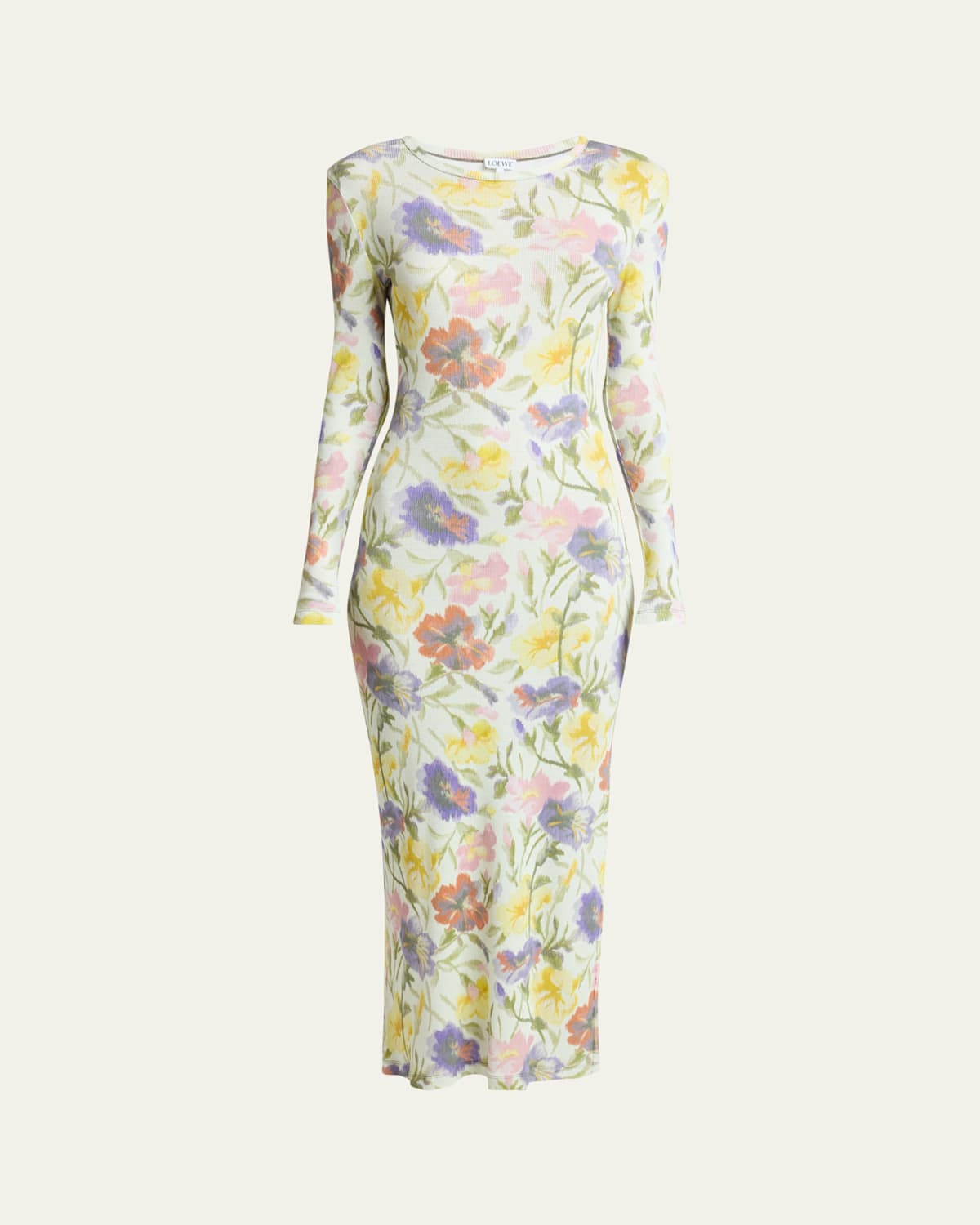 Loewe Women Morning Glory Print Cotton And Silk Multicolor Dress In Multi