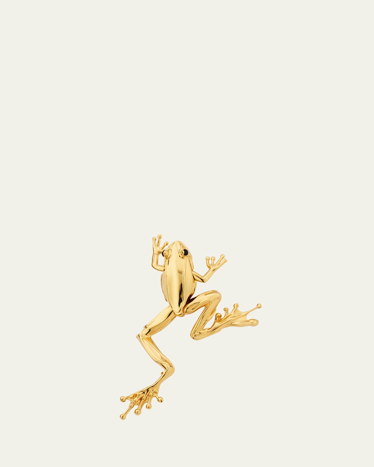 Rana Small Frog Brooch