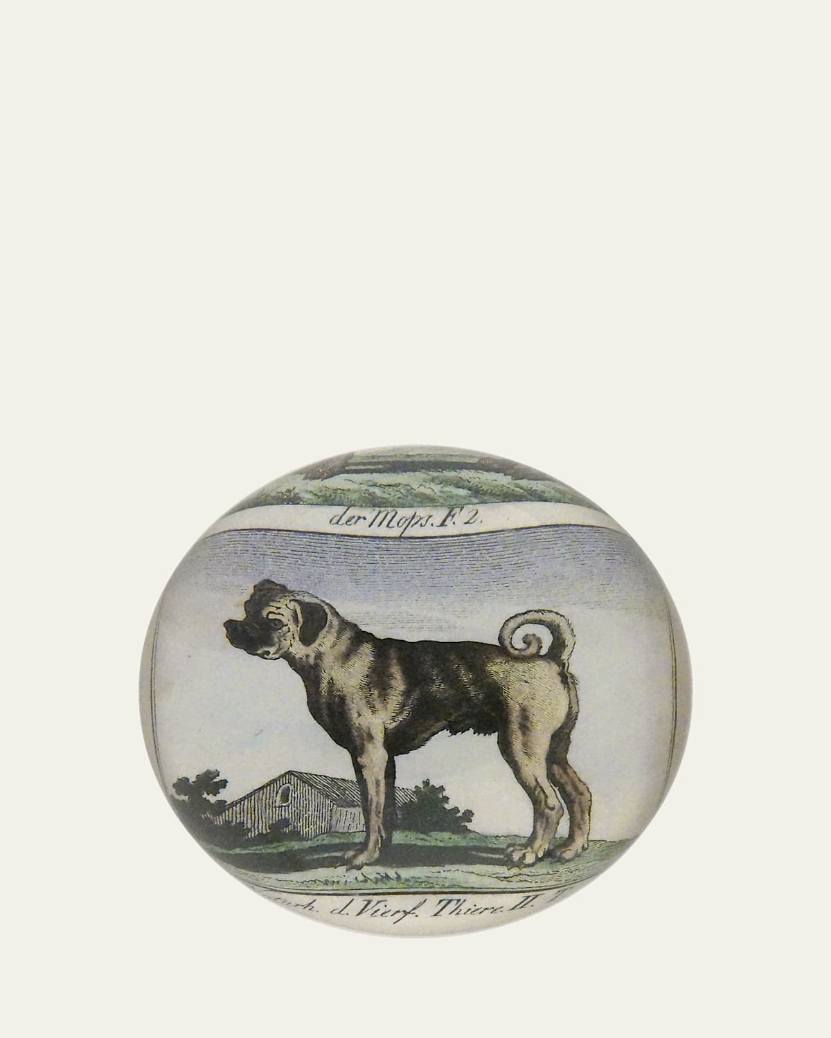John Derian Pug Profile Dome Paperweight - Women's Home