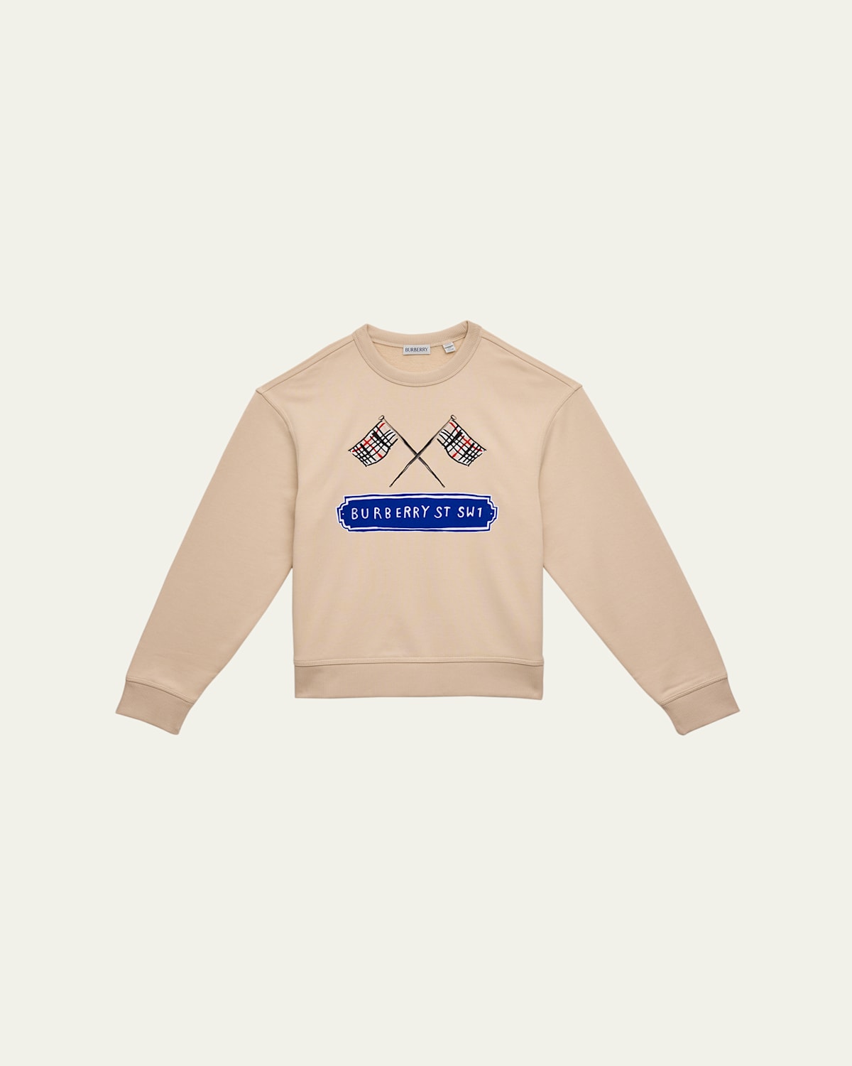 Burberry Boy's Mathew Check Flag Cotton Sweatshirt In Multi