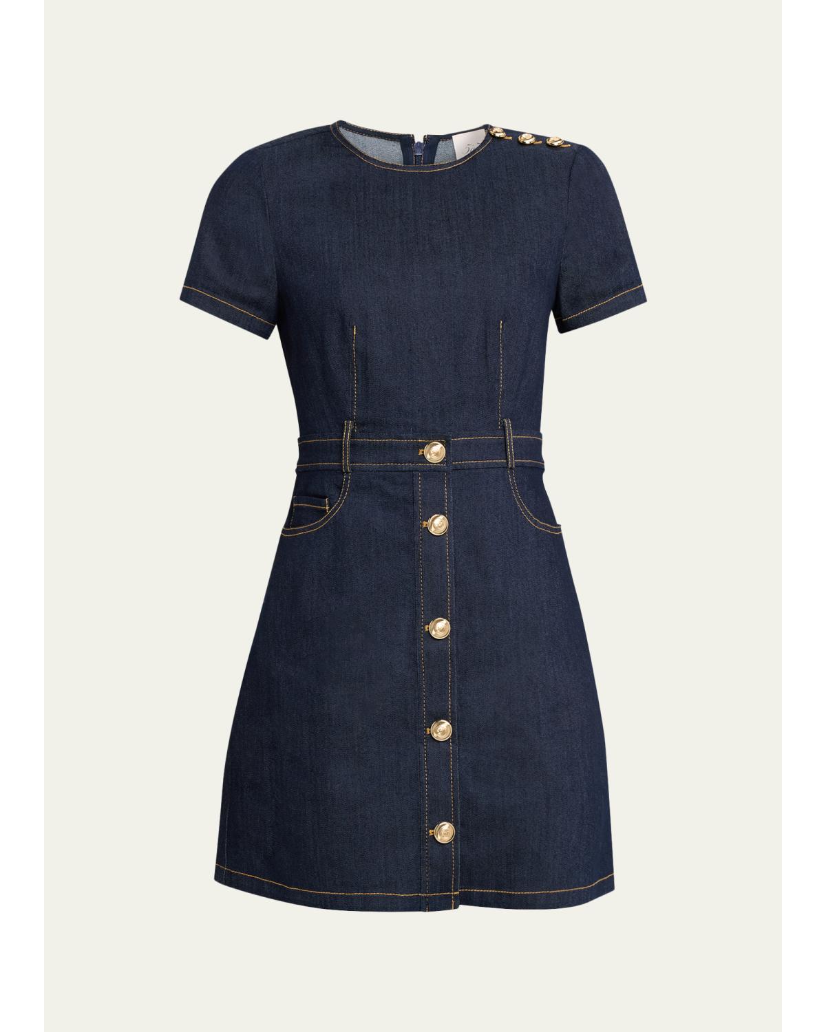Niya Denim Mini Dress