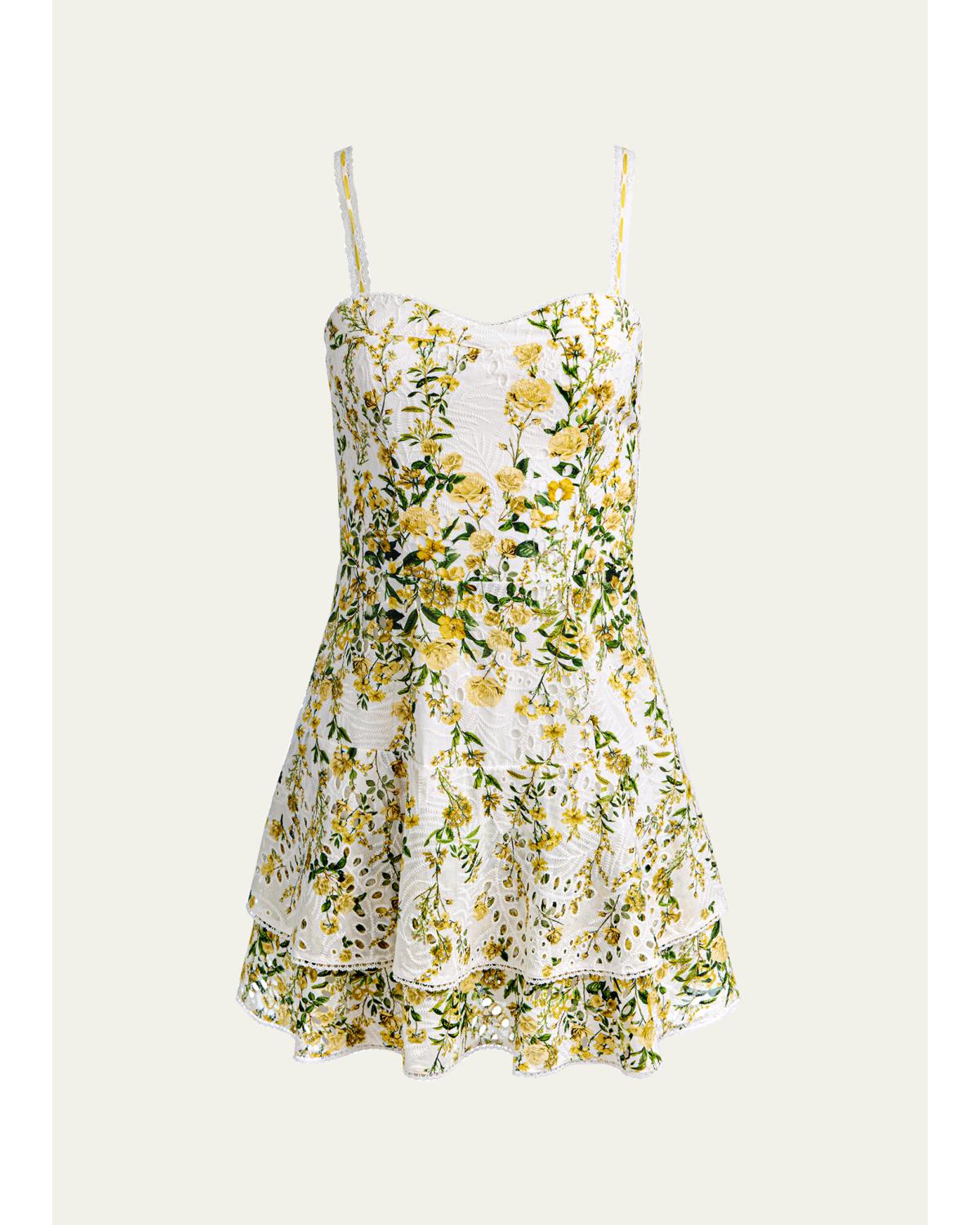 Meredith Embroidered Floral Mini Dress