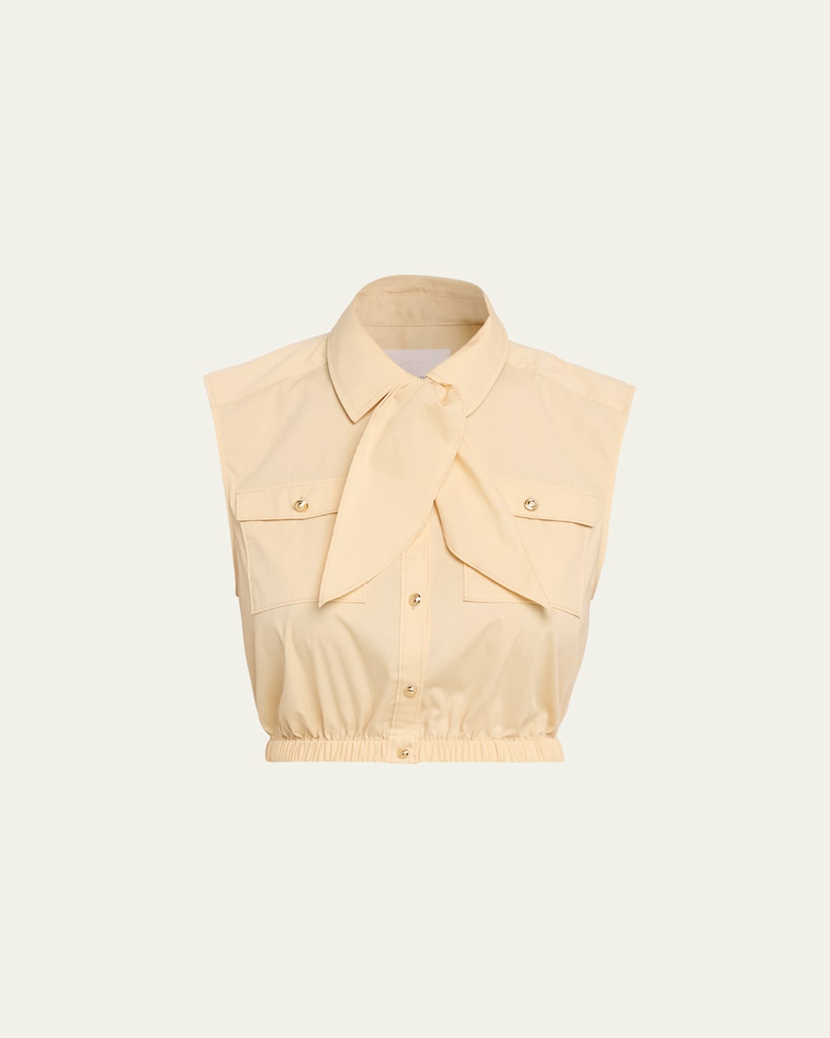 Cinq À Sept Lou Buttoned Poplin Top In Brown
