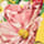 Yellow Floral