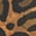 Painted Leopard Regatta One-Piece Swimsuit