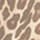 BROWN PATTERN
