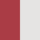 ROSE ANTICHE BIANCO