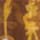 DARK BROWNGOLD