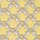 FGIALLO