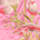 ICE PINK