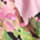 PNKMU