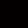 Black Zebra