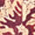 AMARANTHUS