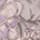 LILAC SILVER
