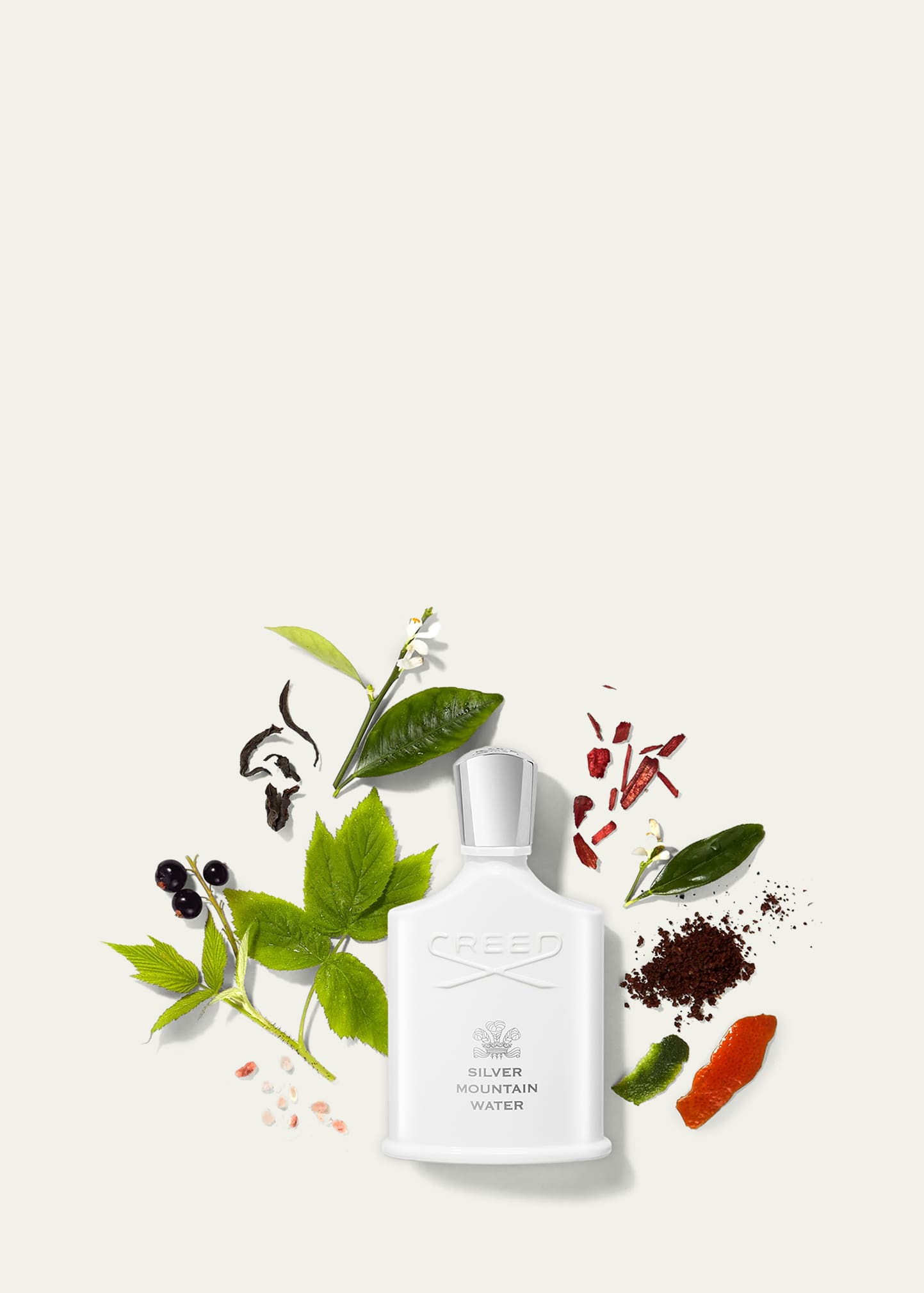 CREED Silver Mountain Water (値下げ相談可能) bg_2220368_100000_a