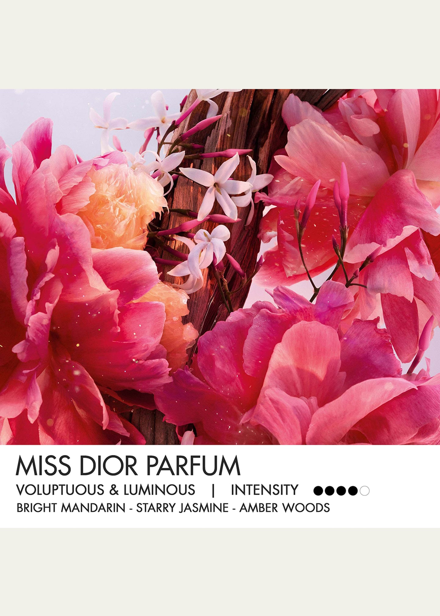 Dior Miss Dior Parfum, 4.2 oz. - Bergdorf Goodman