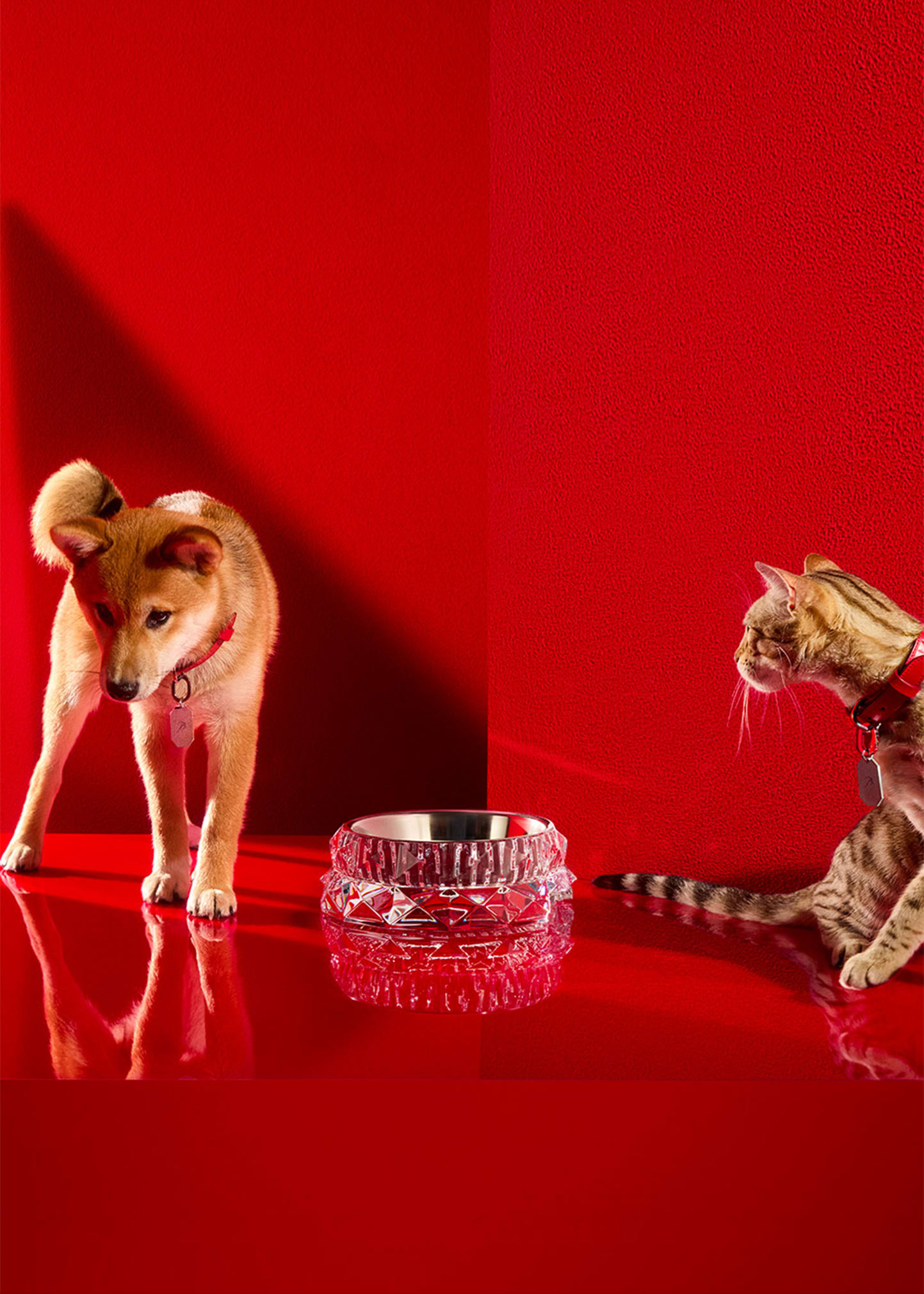 Baccarat Louxor Crystal Pet Bowl, Large - Bergdorf Goodman