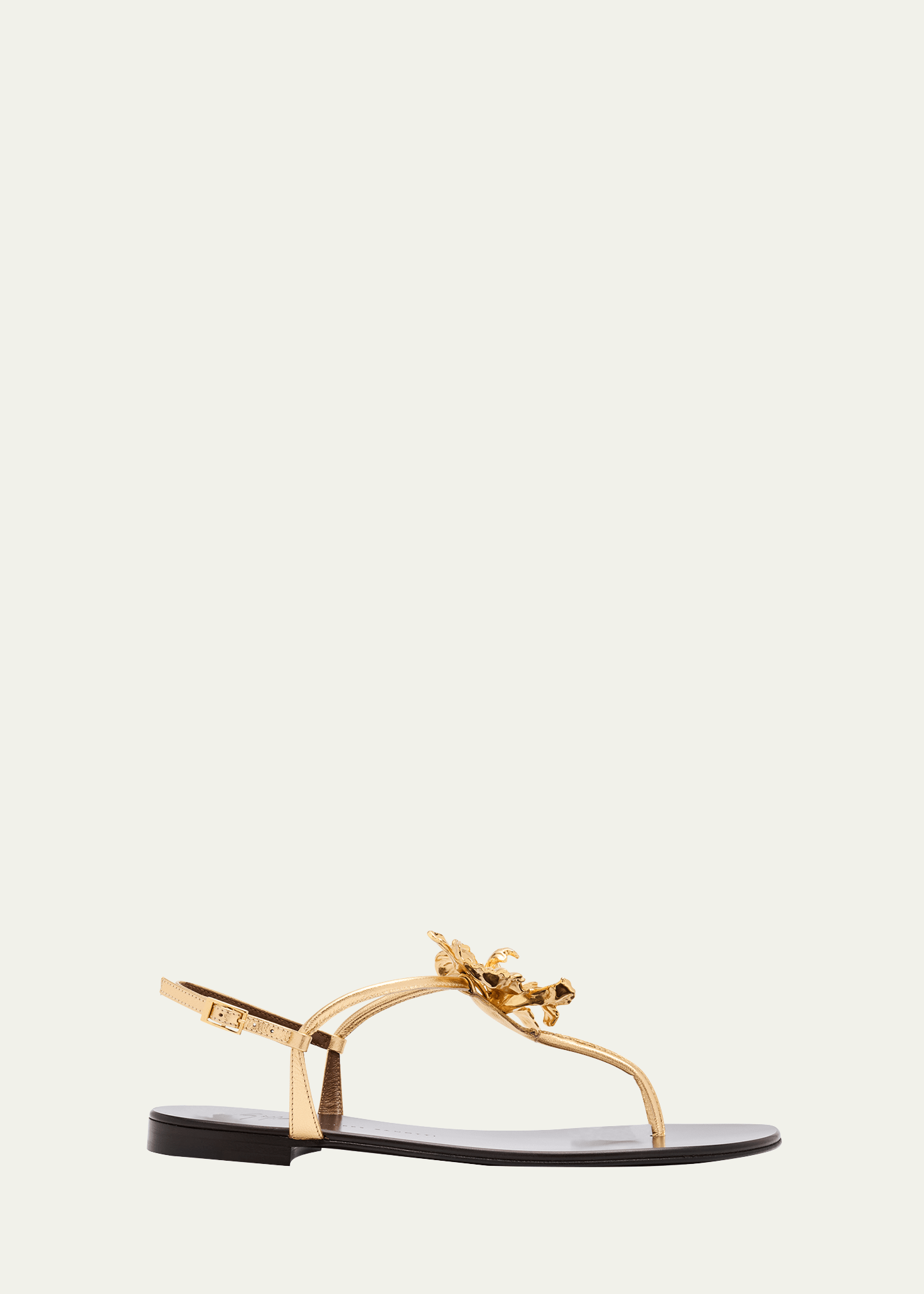 Giuseppe Zanotti