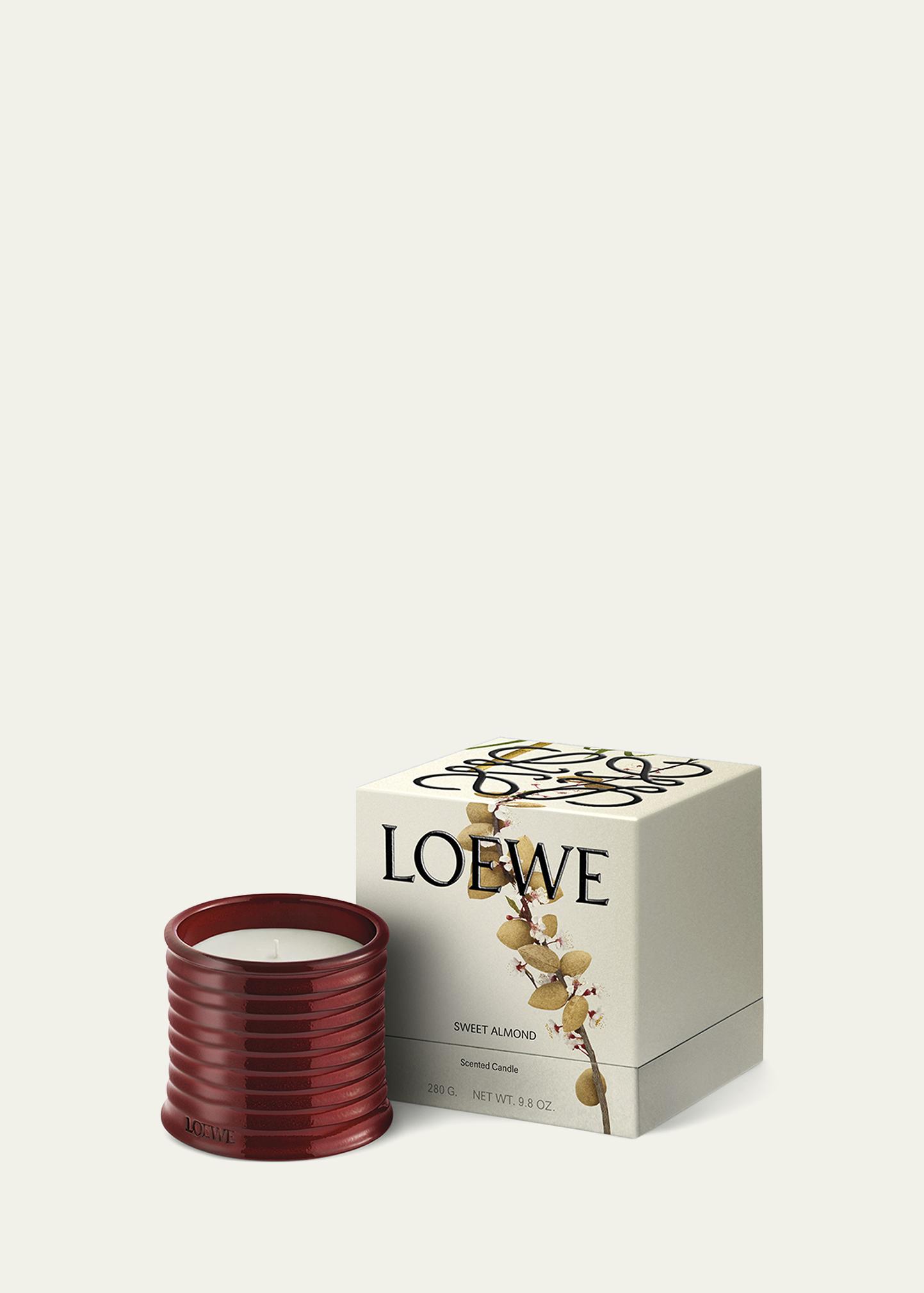 LOEWE LOEWE Sweet Almond Midi Scented Candle - Bergdorf Goodman