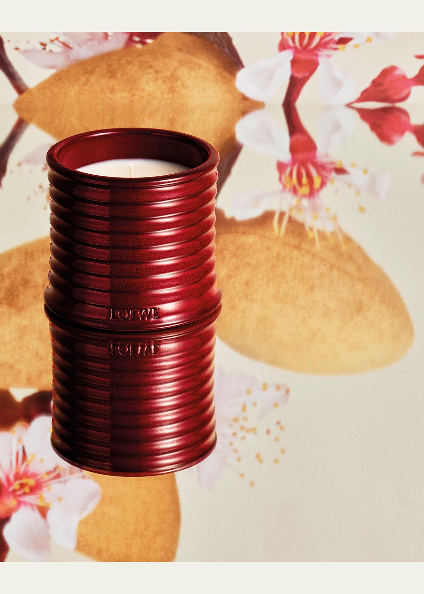 LOEWE LOEWE Sweet Almond Midi Scented Candle - Bergdorf Goodman
