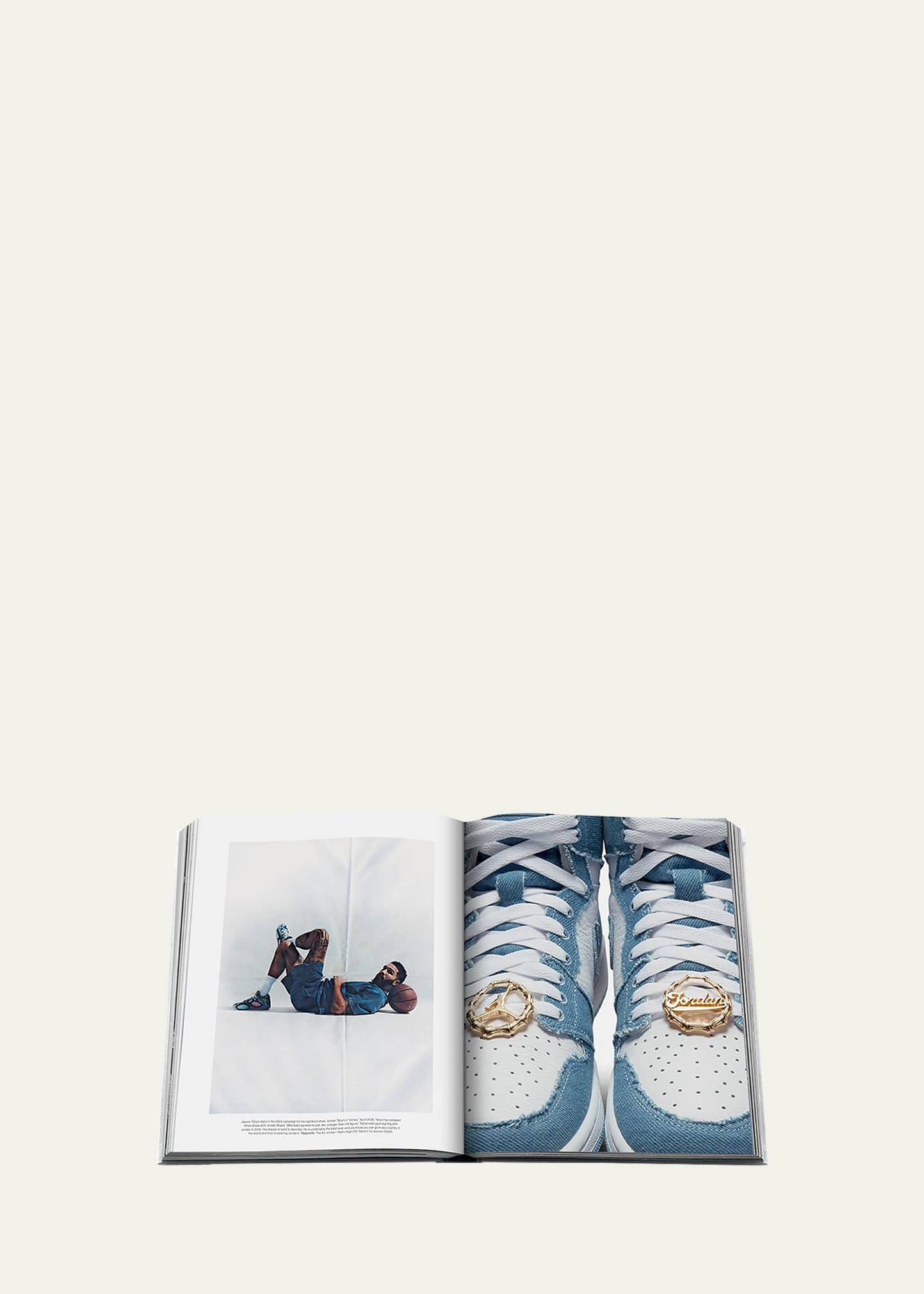New ASSOULINE AIR JORDAN CLASSIC EDITION