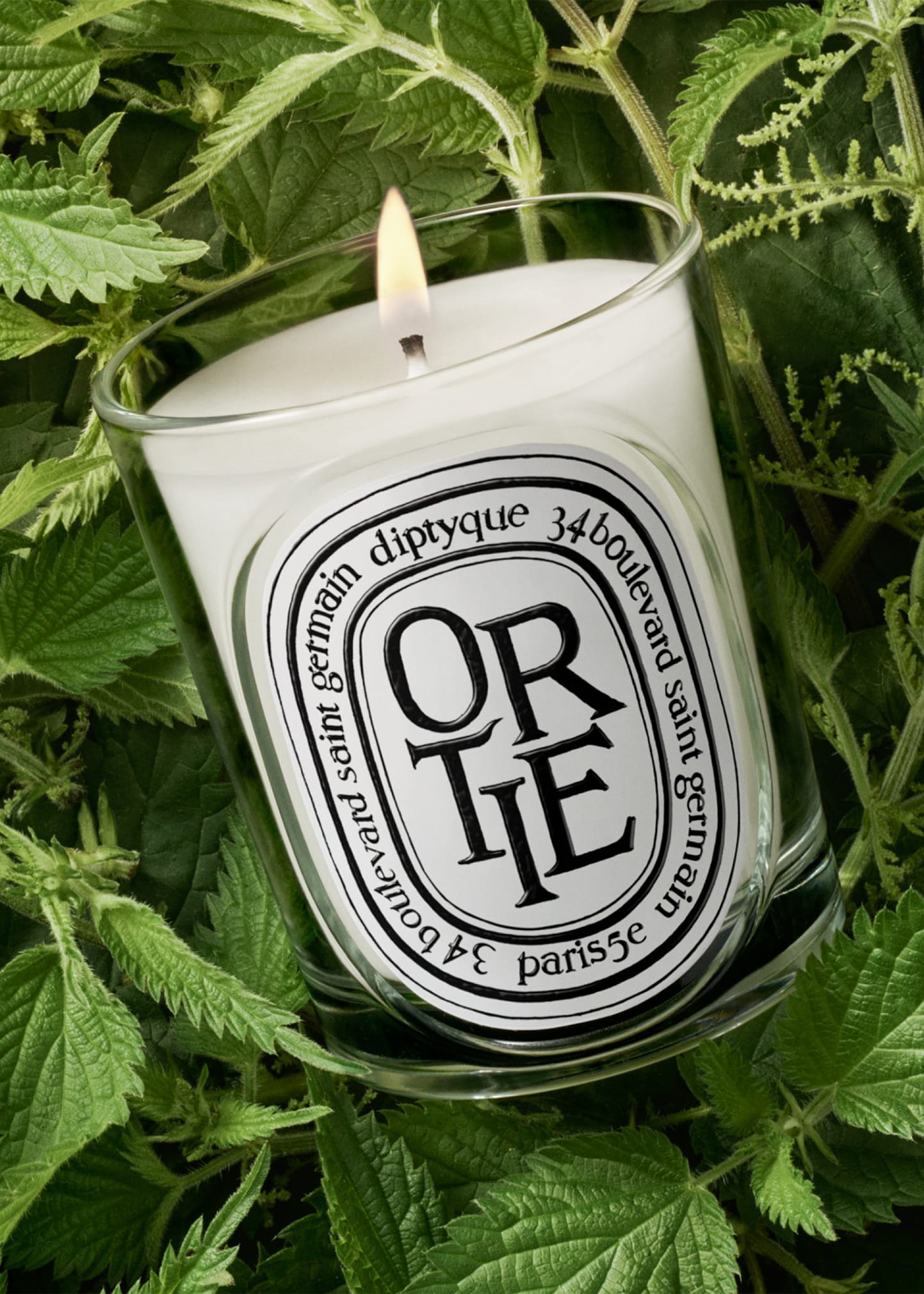 DIPTYQUE Ortie (Nettle) Classic Candle, 6.7 oz. - Bergdorf Goodman