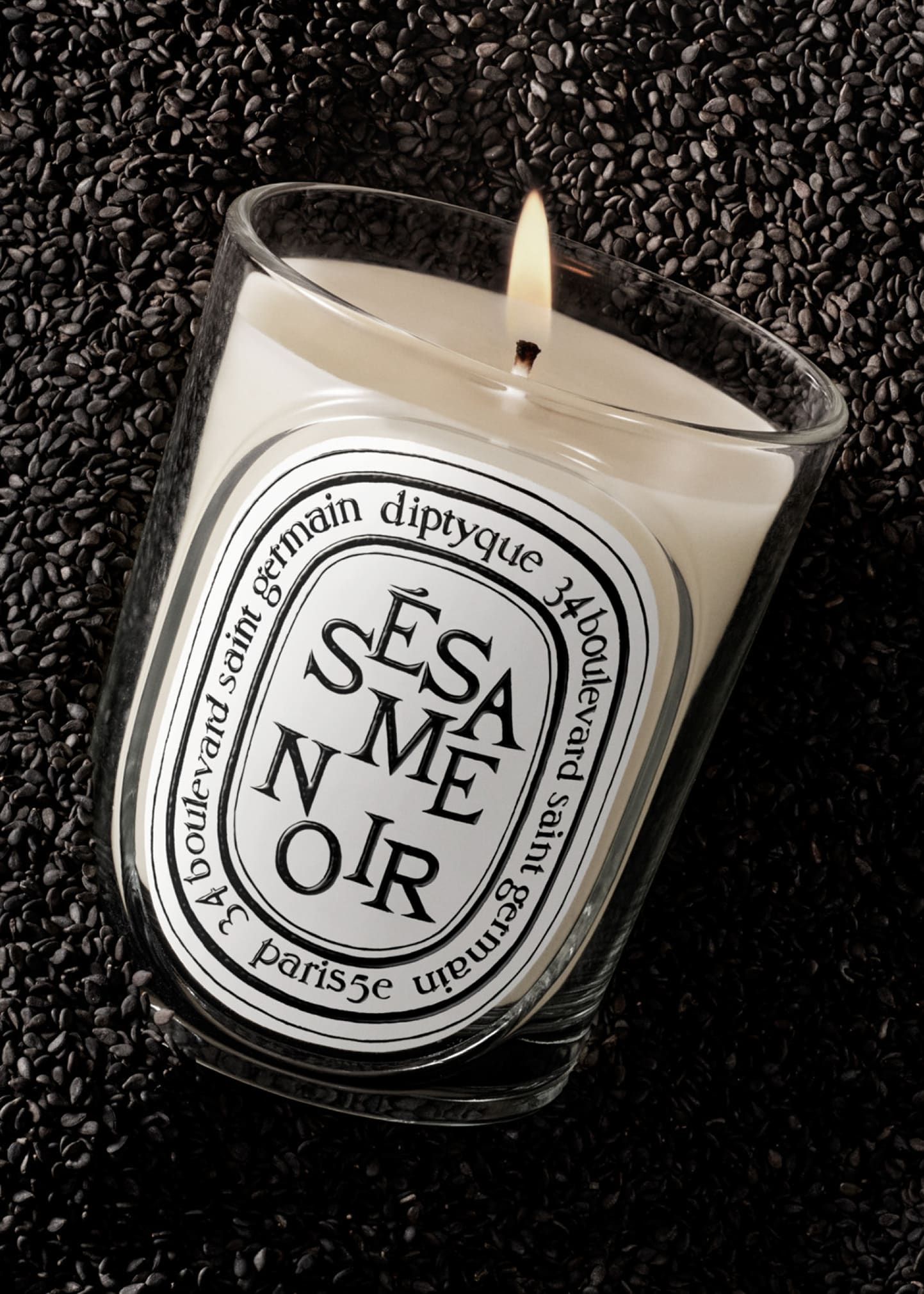 DIPTYQUE Ssame Noir (Black Sesame) Classic Candle, 6.7 oz