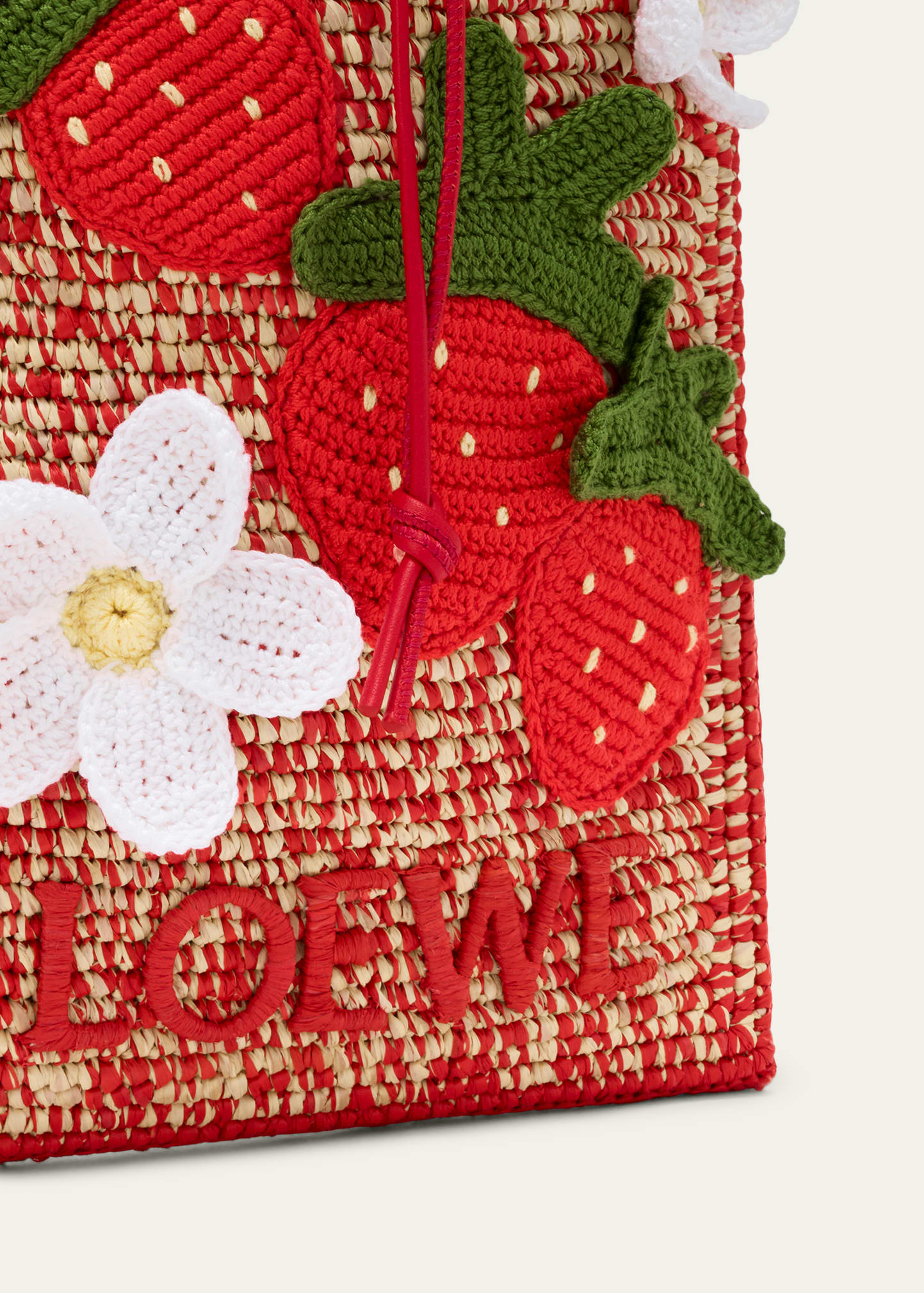 Loewe x Paula's Ibiza Strawberry Applique Raffia Pouch Bag