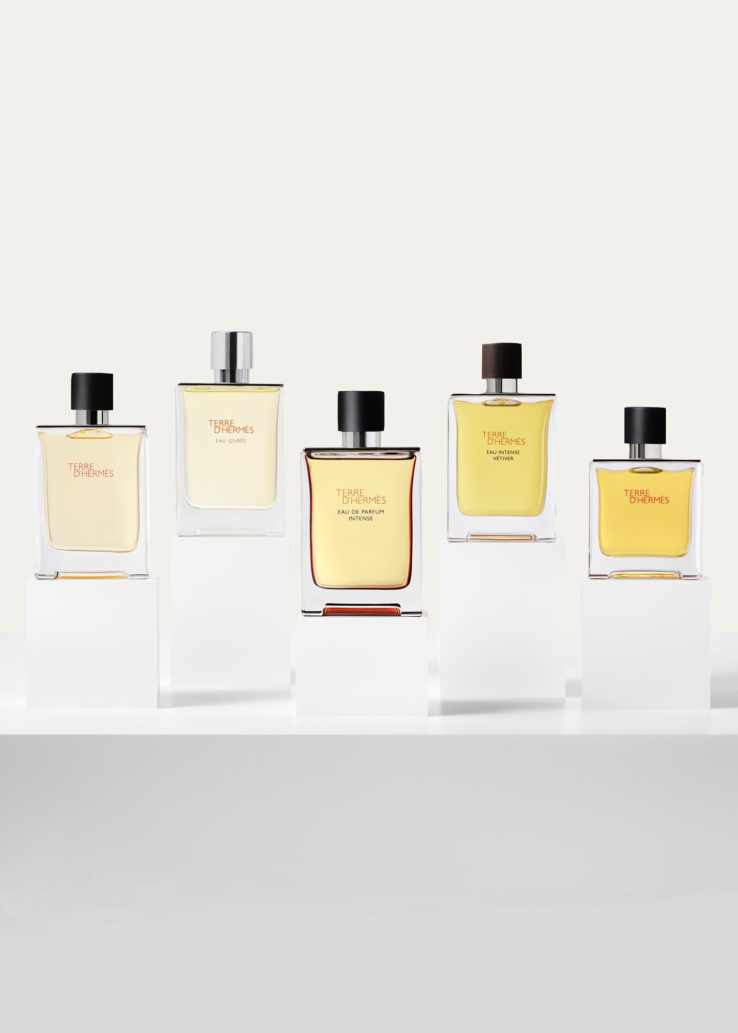 HERMÈS Terre d'Hermes Parfum, 6.7 oz. - Bergdorf Goodman