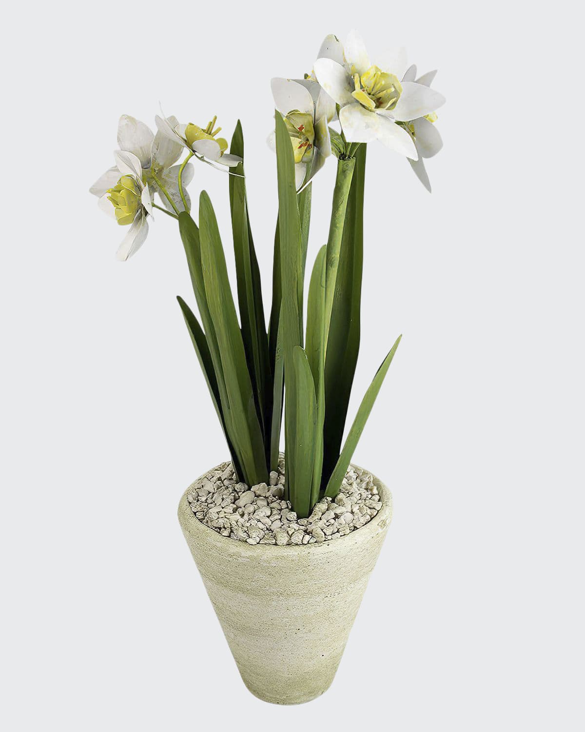 Tommy Mitchell Narcissus December Birth Flower in White Terracotta Pot -  Bergdorf Goodman