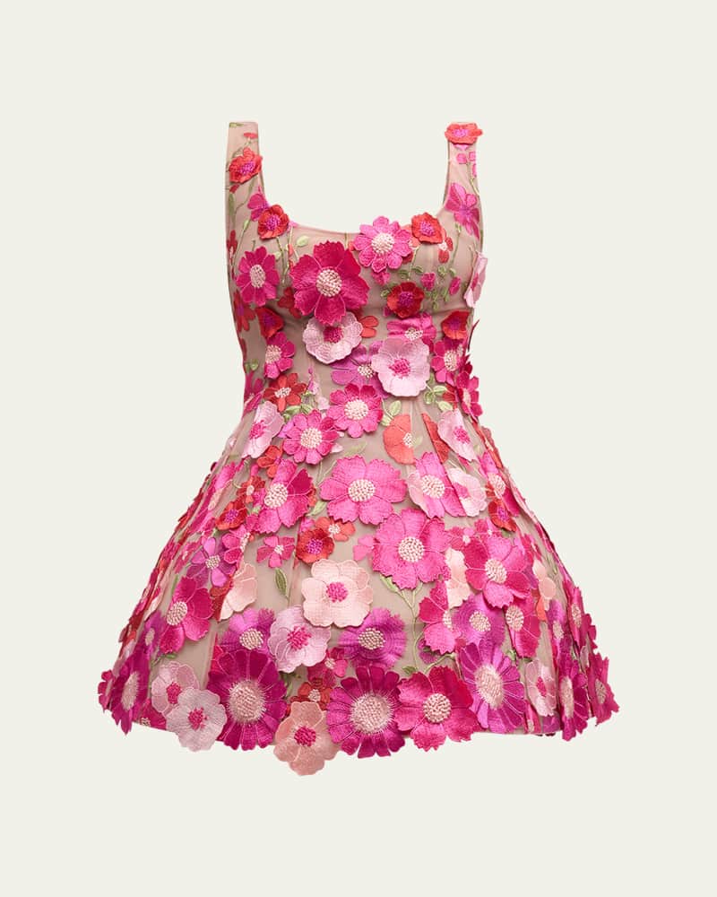 Jasmine Floral Applique Fit-&-Flare Mini Dress