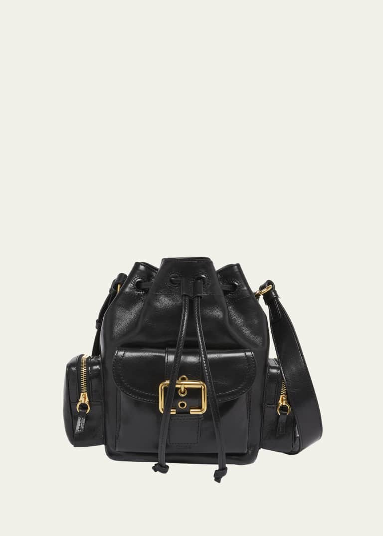 Chloe Camera Bucket Crossbody Bag in Shiny Calfskin