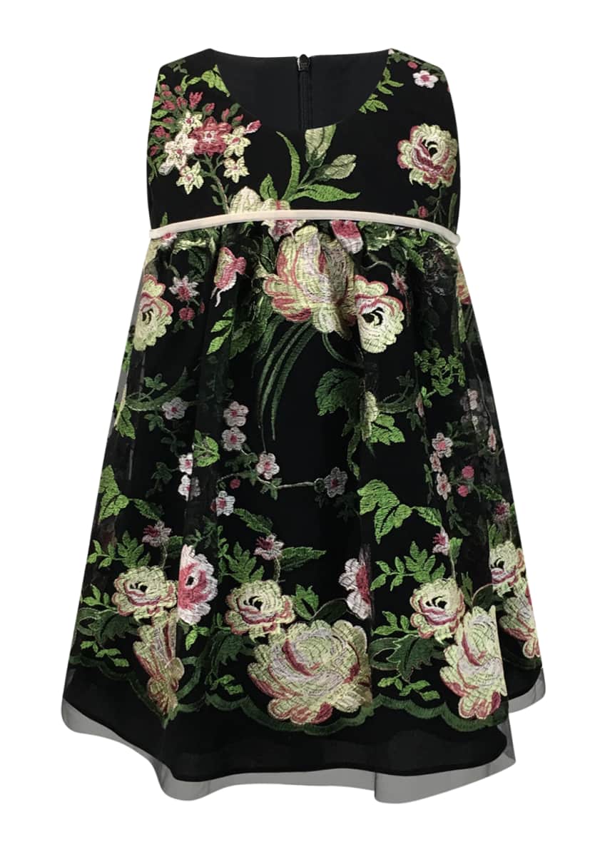 Helena Sleeveless Floral-Embroidered Dress, Size 7-14 Image 1 of 2