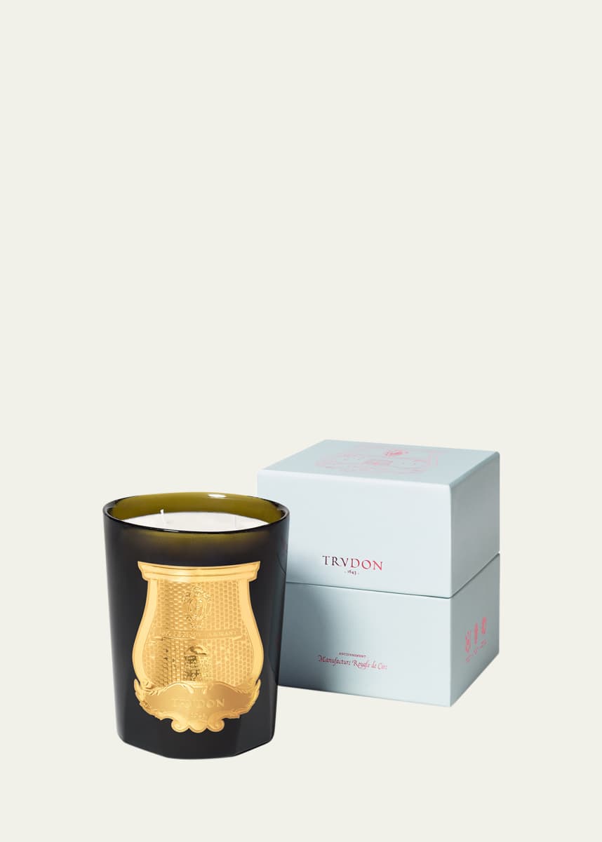 Trudon Abd El Kader Intermezzo Candle, Moroccan Mint Tea, 28.2 oz.
